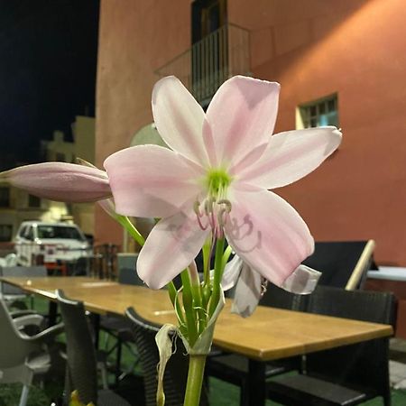 Restaurant & Rooms Cabrit 圣马特奥 外观 照片