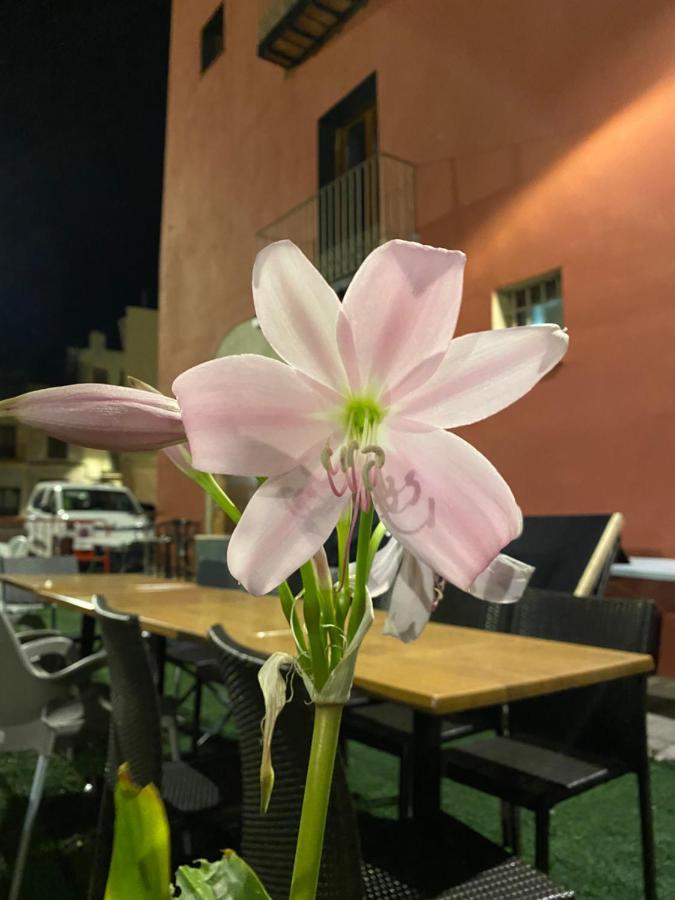 Restaurant & Rooms Cabrit 圣马特奥 外观 照片