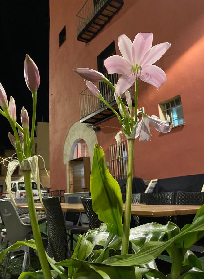 Restaurant & Rooms Cabrit 圣马特奥 外观 照片